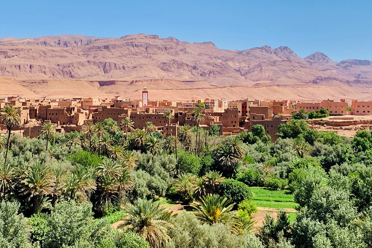 Referenzen_Incentives_MINI_Marrakesch_13