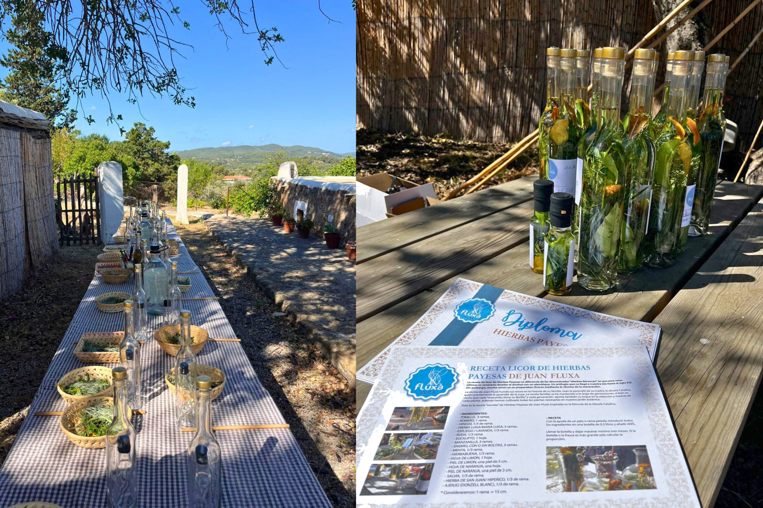 Versicherung Incentive Ibiza 2026 Hierbas Workshop
